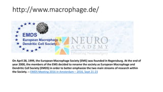 http://www.macrophage.de/
On April 28, 1999, the European Macrophage Society (EMS) was founded in Regensburg. At the end of
year 2000, the members of the EMS decided to rename the society as European Macrophage and
Dendritic Cell Society (EMDS) in order to better emphasize the two main streams of research within
the Society. -- EMDS Meeting 2016 in Amsterdam – 2016, Sept 21-23
 