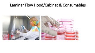 Laminar Flow Hood/Cabinet & Consumables
 