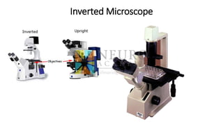 Inverted Microscope
 