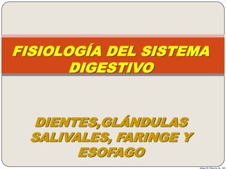 FISIOLOGÍA DEL SISTEMA
       DIGESTIVO


  DIENTES,GLÁNDULAS
  SALIVALES, FARINGE Y
        ESOFAGO
                         Edgar H. Murcia M. MV
 