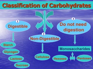 Classification of Carbohydrates

                                           3
         1
  Digestible                        Do not need
                                     digestion
                         2
                   Non-Digestible
Starch
                                    Monosaccharides
Glycogen
                     Cellulose                 Pentoses
    Lactose                      Hexoses

         Sucrose
 
