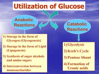 Utilization of Glucose
       Anabolic
       Reactions                    Catabolic
                                    Reactions
1) Storage in the form of
   Glycogen (Glycogenesis)
2) Storage in the form of Lipid
                                  1) Glycolysis
   (Lipogenesis)                  2) Kreb’s Cycle
3) Synthesis of sugar alcohols    3) Pentose Shunt
   and amino sugars
                                  4) Formation of
4) Interconversion between
   monosaccharides
                                     Uronic acids
 
