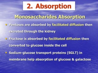 2. Absorption
     Monosaccharides Absorption
• Pentoses are absorbed by facilitated diffusion then
  excreted through the kidney

• Fructose is absorbed by facilitated diffusion then
  converted to glucose inside the cell

• Sodium-glucose transport proteins (SGLT) in
  membrane help absorption of glucose & galactose
 