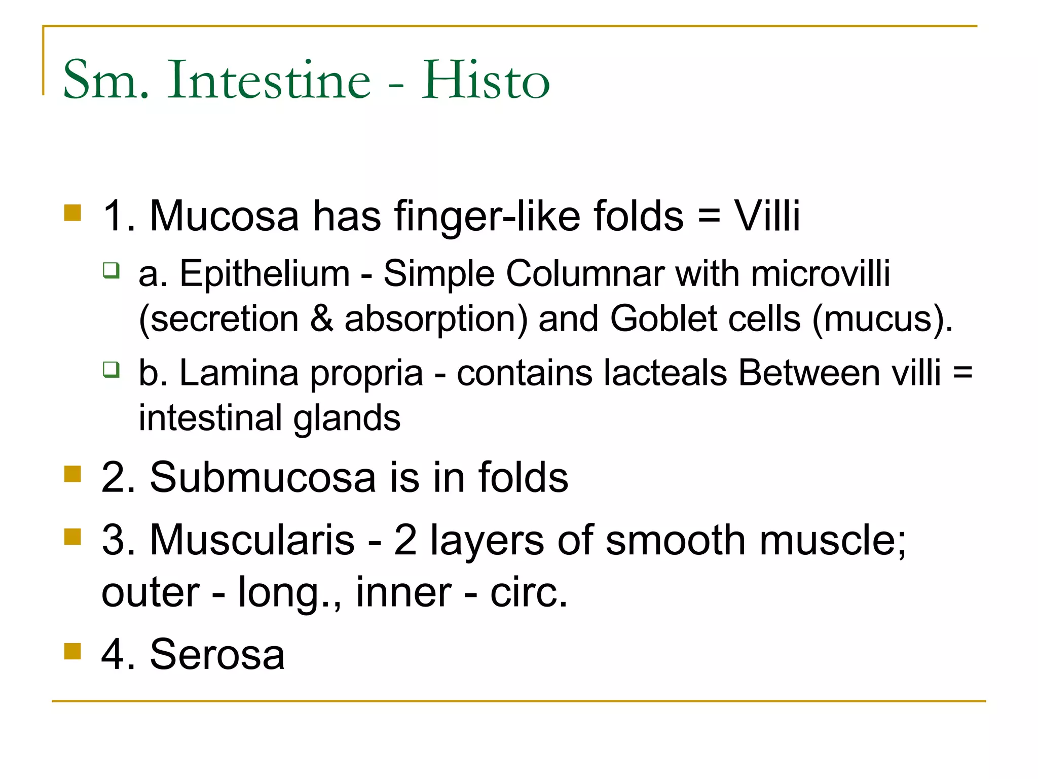 Sm. Intestine - Histo 1. Mucosa has finger-like folds = Villi  a. Epithelium - Simple Columnar with microvilli (secretion & absorption) and Goblet cells (mucus).  b. Lamina propria - contains lacteals Between villi = intestinal glands 2. Submucosa is in folds 3. Muscularis - 2 layers of smooth muscle; outer - long., inner - circ.  4. Serosa  