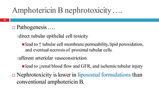 Amphotericin B nephrotoxicity….
 Pathogenesis ….
🞑direct tubular epithelial cell toxicity
 lead to ↑ tubular cell membrane permeability, lipid peroxidation,
and eventual necrosisof proximal tubular cells.
🞑afferent arteriolar vasoconstriction
 lead to ↓renal blood flow and GFR, and ischemictubular injury
 Nephrotoxicity is lower in liposomal formulations than
conventional amphotericin B.
26
 