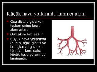 Küçük hava yollarında laminer akım
   Gaz distale giderken
    toplam enine kesit
    alanı artar.
   Gaz akım hızı azalır.
   Büyük hava yollarında
    (burun, ağız, glottis ve
    bronşlarda) gaz akımı
    türbülan iken, daha
    küçük hava yollarında
    laminerdir.
 