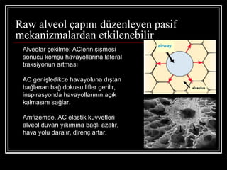 Raw alveol çapını düzenleyen pasif
mekanizmalardan etkilenebilir
 Alveolar çekilme: AClerin şişmesi
 sonucu komşu havayollarına lateral
 traksiyonun artması

 AC genişledikce havayoluna dıştan
 bağlanan bağ dokusu lifler gerilir,
 inspirasyonda havayollarının açık
 kalmasını sağlar.

 Amfizemde, AC elastik kuvvetleri
 alveol duvarı yıkımına bağlı azalır,
 hava yolu daralır, direnç artar.
 