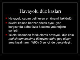 Havayolu düz kasları
   Havayolu çapını belirleyen en önemli faktördür.
   iskelet kasına benzer,ancak aynı uyarı
    karşısında daha fazla kısalma yeteneğine
    sahiptir.
   İskelet kasından farklı olarak havayolu düz kası
    maksimum kısalma düzeyine daha geç ulaşır,
    ama kısalmanın %90’ı 3 sn içinde gerçekleşir.
 