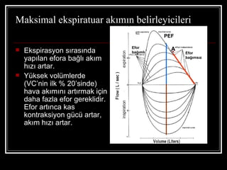 Maksimal ekspiratuar akımın belirleyicileri
                                            PEF

                                  Efor
   Ekspirasyon sırasında         bağımlı
                                              A
                                                  Efor
    yapılan efora bağlı akım                      bağımsız

    hızı artar.
   Yüksek volümlerde
    (VC’nin ilk % 20’sinde)
    hava akımını artırmak için
    daha fazla efor gereklidir.
    Efor artınca kas
    kontraksiyon gücü artar,
    akım hızı artar.
 