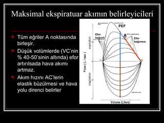Maksimal ekspiratuar akımın belirleyicileri
                                            PEF

                                  Efor        A
   Tüm eğriler A noktasında      bağımlı         Efor
                                                  bağımsız
    birleşir.
   Düşük volümlerde (VC’nin
    % 40-50’sinin altında) efor
    artırılsada hava akımı
    artmaz.
   Akım hızını AC’lerin
    elastik büzülmesi ve hava
    yolu direnci belirler
 