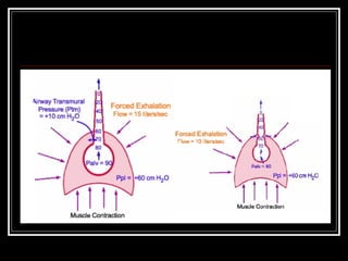 hava yolu rezistansı (fazlası için www.tipfakultesi.org )
