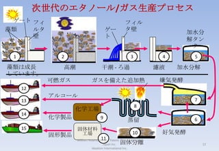 1999年　US特許5957811号:自動車の単一ペダル･システム、及びその単一ペダル･システムを形成する方法