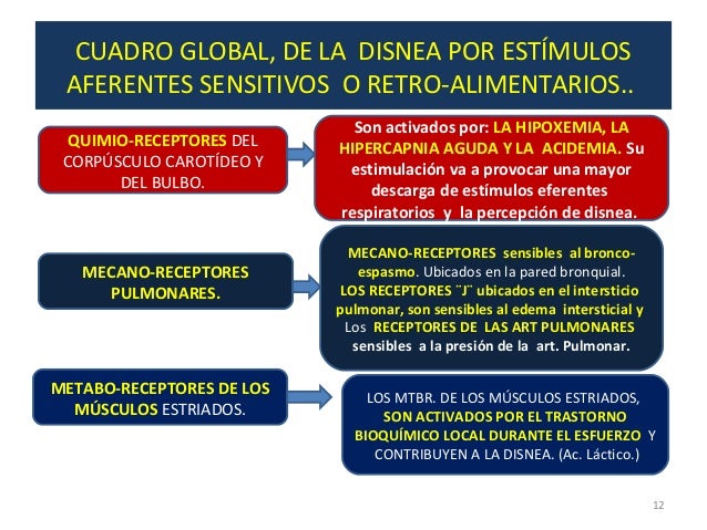 Resultado de imagen para mecanorreceptores pulmonares