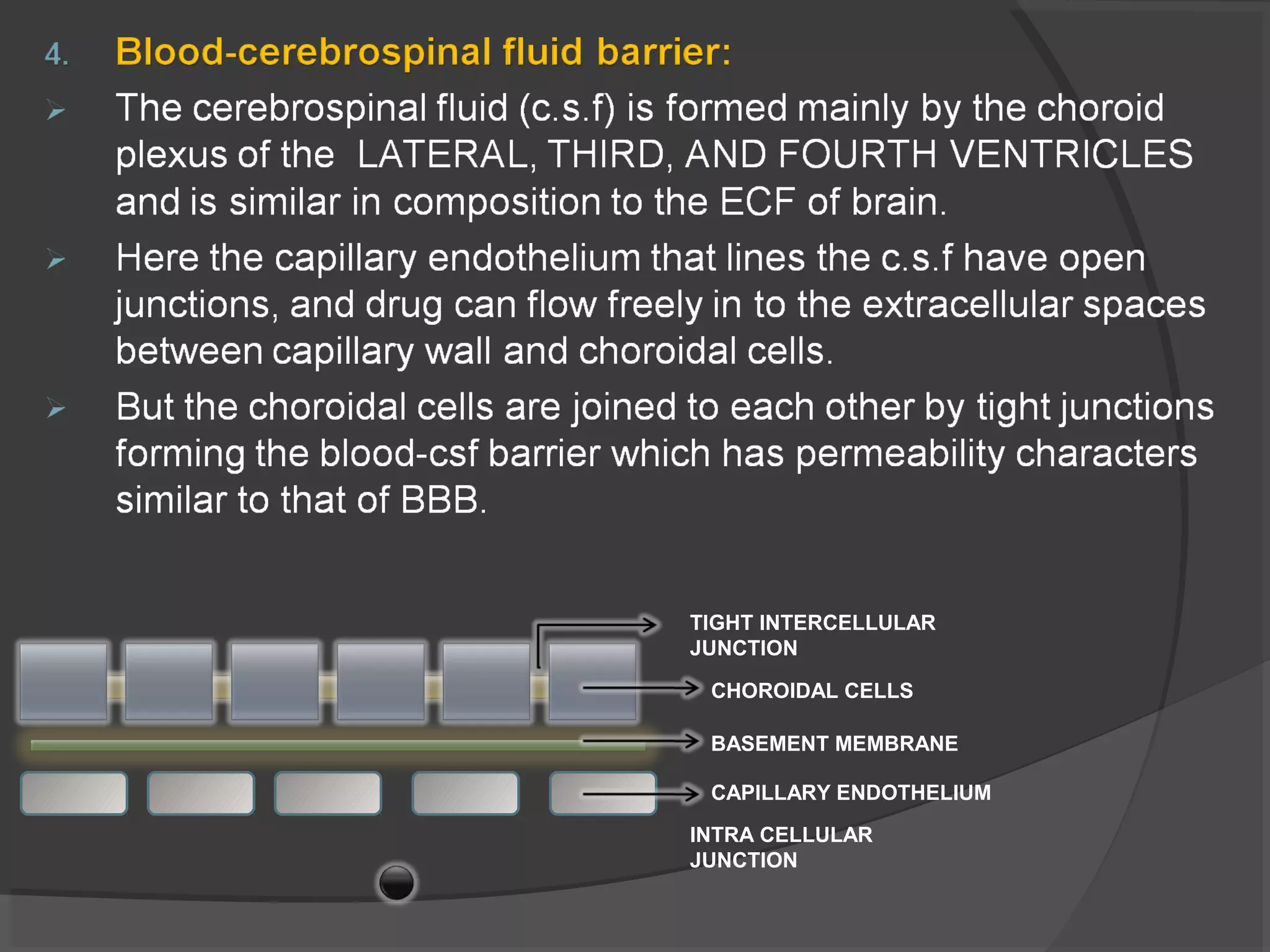 CHOROIDAL CELLS
BASEMENT MEMBRANE
CAPILLARY ENDOTHELIUM
INTRA CELLULAR
JUNCTION
TIGHT INTERCELLULAR
JUNCTION
 