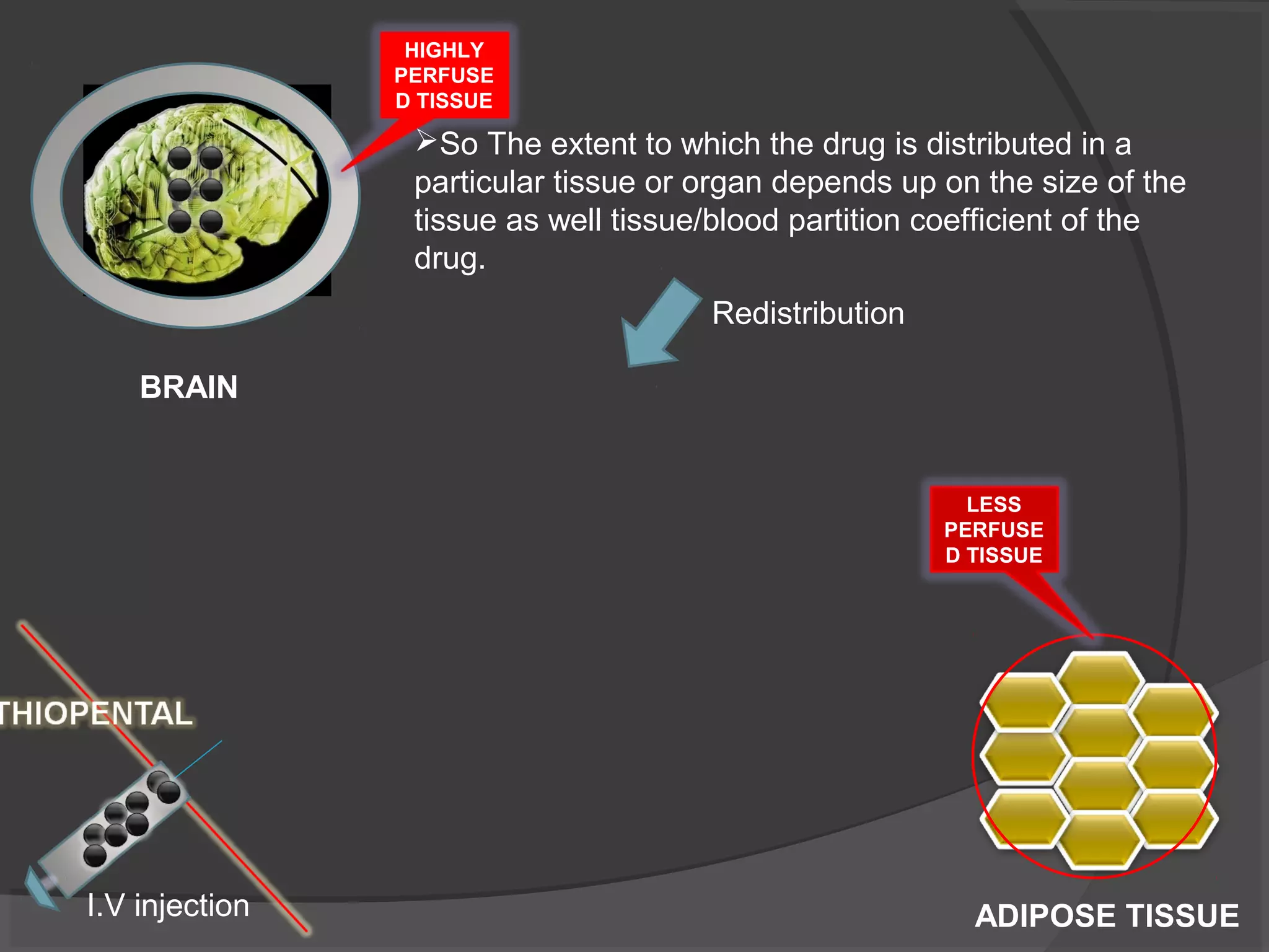 BRAIN
ADIPOSE TISSUE
HIGHLY
PERFUSE
D TISSUE
LESS
PERFUSE
D TISSUE
I.V injection
So The extent to which the drug is distributed in a
particular tissue or organ depends up on the size of the
tissue as well tissue/blood partition coefficient of the
drug.
Redistribution
 