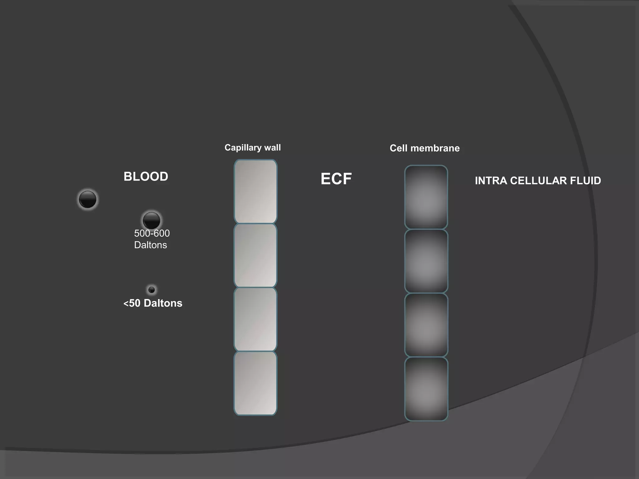 Capillary wall Cell membrane
ECF INTRA CELLULAR FLUIDBLOOD
500-600
Daltons
<50 Daltons
 