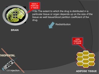 Drug distributionvpp | PPT