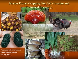 Diverse Forest Cropping For Job Creation and Ecological Recovery   Presented by Zev Friedman, Living Systems Design Feb. 27, 2012 