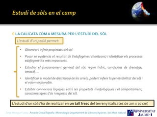 Sergi Meseguer Costa Àrea de Cristal·lografia i Mineralogia-Departament de Ciències Agràries i del Medi Natural
6 LA CALICATA COM A MESURA PER L’ESTUDI DEL SÒL
• Observar i inferir propietats del sòl
• Posar en evidència el resultat de l’edafogènesi (horitzons) i identificar els processos
edafogenètics més importants.
• Estudiar el funcionament general del sòl: règim hídric, condicions de drenatge,
aeració, ...
• Identificar el model de distribució de les arrels, podent inferir la penetrabilitat del sòl i
el volum explorable.
• Establir connexions lògiques entre les propietats morfològiques i el comportament,
característiques d’ús i resposta del sòl.
L’estudi d’un sòl s’ha de realitzar en un tall fresc del terreny (calicates de 2m x 70 cm)
L’estudi d’un pedió permet:
 