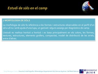 Sergi Meseguer Costa Àrea de Cristal·lografia i Mineralogia-Departament de Ciències Agràries i del Medi Natural
7 MORFOLOGIA DE SÒLS
La morfologia de sòls fa referència a les formes i estructures observables en el perfil d’un
sòl a ull nu i amb ajuda d’una lupa, un ganivet i alguns assaigs per diagnòstics de camp.
L’estudi es realitza horitzó a horitzó i es basa principalment en els colors, les formes,
textures, estructures, elements grollers, compacitat, model de distribució de les arrels,
entre d’altres.
 