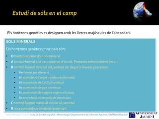 Sergi Meseguer Costa Àrea de Cristal·lografia i Mineralogia-Departament de Ciències Agràries i del Medi Natural
SÒLS MINERALS
Els horitzons genètics principals són:
• O horitzó orgànic d’un sòl mineral
• A horitzó format a la part superior d’un sòl. Presenta enfosquiment (m.o.)
• B horitzó format dins del sòl, podent ser degut a divesos processos:
• Bw format per alteració
• Bt acumulació d’argila translocada (iluviada)
• Bk acumulació de CaCO3 translocat
• By acumulació de guix translocat
• Bh acumulació de matèria orgànica iluviada
• Bs acumulació de sesquiòxids translocats
• C horitzó format material similar al parental
• R roca consolidada (material parental)
Els horitzons genètics es designen amb les lletres majúscules de l’abecedari.
 
