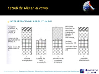 Sergi Meseguer Costa Àrea de Cristal·lografia i Mineralogia-Departament de Ciències Agràries i del Medi Natural
9 INTERPRETACIÓ DEL PERFIL D’UN SÒL
 