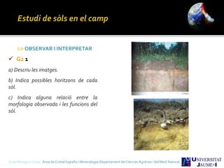 Sergi Meseguer Costa Àrea de Cristal·lografia i Mineralogia-Departament de Ciències Agràries i del Medi Natural
10 OBSERVAR I INTERPRETAR
 G2 1
a) Descriu les imatges.
b) Indica possibles horitzons de cada
sòl.
c) Indica alguna relació entre la
morfologia observada i les funcions del
sòl.
 