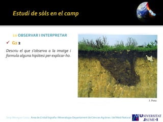 Sergi Meseguer Costa Àrea de Cristal·lografia i Mineralogia-Departament de Ciències Agràries i del Medi Natural
10 OBSERVAR I INTERPRETAR
 G2 2
Descriu el que s’observa a la imatge i
formula alguna hipòtesi per explicar-ho.
 