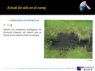 Sergi Meseguer Costa Àrea de Cristal·lografia i Mineralogia-Departament de Ciències Agràries i del Medi Natural
10 OBSERVAR I INTERPRETAR
 G2 3
Descriu les condicions ecològiques de
formació d’aquest sòl sabent que es
tracta d’una torbera d’alta muntanya.
 