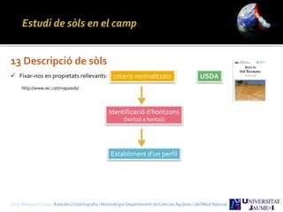 Sergi Meseguer Costa Àrea de Cristal·lografia i Mineralogia-Departament de Ciències Agràries i del Medi Natural
13 Descripció de sòls
 Fixar-nos en propietats rellevants: criteris normalitzats USDA
http://www.iec.cat/mapasols/
Identificació d’horitzons
(horitzó a horitzó)
Establiment d’un perfil
 