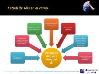 Sergi Meseguer Costa Àrea de Cristal·lografia i Mineralogia-Departament de Ciències Agràries i del Medi Natural
Descripció
del lloc i
usos del
sòl
Clima general
(edafogènesi)
Condiciones
meteorològiques
immediates: aigua i
temperatura
Morfologia del lloc:
atributs del relleu
Posició del sòl en la
toposeqüència
Ús del territori i
vegetació
Material originari i
material subjacent.
Discontinuïtats
litològiques en el
perfil (canvis
ambientals)
Afloraments rocosos
i pedregositat
superficial
 