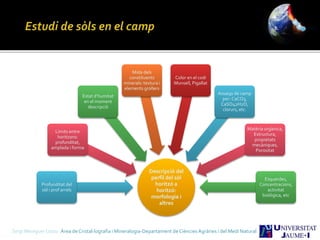 Sergi Meseguer Costa Àrea de Cristal·lografia i Mineralogia-Departament de Ciències Agràries i del Medi Natural
Descripció del
perfil del sòl
horitzó a
horitzó:
morfologia i
altres
Profunditat del
sòl i prof arrels
Límits entre
horitzons:
profunditat,
amplada i forma
Estat d’humitat
en el moment
descripció
Mida dels
constituents
minerals: textura i
elements grollers
Color en el codi
Munsell, Pigallat
Assaigs de camp
per: CaCO3,
CaSO42H2O,
clorurs, etc.
Matèria orgànica,
Estructura,
propietats
mecàniques,
Porositat
Esquerdes,
Concentracions,
activitat
biològica, etc
 