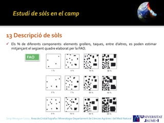 Sergi Meseguer Costa Àrea de Cristal·lografia i Mineralogia-Departament de Ciències Agràries i del Medi Natural
13 Descripció de sòls
 Els % de diferents components: elements grollers, taques, entre d’altres, es poden estimar
mitjançant el següent quadre elaborat per la FAO.
FAO
 