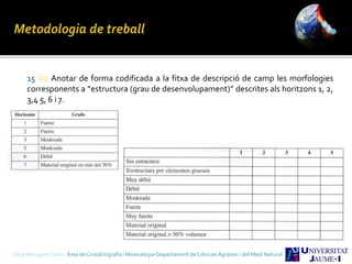 15 G2 Anotar de forma codificada a la fitxa de descripció de camp les morfologies
corresponents a “estructura (grau de desenvolupament)” descrites als horitzons 1, 2,
3,4 5, 6 i 7.
Sergi Meseguer Costa Àrea de Cristal·lografia i Mineralogia-Departament de Ciències Agràries i del Medi Natural
 