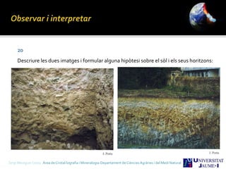 20
Descriure les dues imatges i formular alguna hipòtesi sobre el sòl i els seus horitzons:
Sergi Meseguer Costa Àrea de Cristal·lografia i Mineralogia-Departament de Ciències Agràries i del Medi Natural
 
