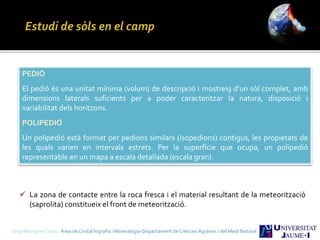 Sergi Meseguer Costa Àrea de Cristal·lografia i Mineralogia-Departament de Ciències Agràries i del Medi Natural
PEDIÓ
El pedió és una unitat mínima (volum) de descripció i mostreig d’un sòl complet, amb
dimensions laterals suficients per a poder caracteritzar la natura, disposició i
variabilitat dels horitzons.
POLIPEDIÓ
Un polipedió està format per pedions similars (isopedions) contigus, les propietats de
les quals varien en intervals estrets. Per la superfície que ocupa, un polipedió
representable en un mapa a escala detallada (escala gran).
 La zona de contacte entre la roca fresca i el material resultant de la meteorització
(saprolita) constitueix el front de meteorització.
 