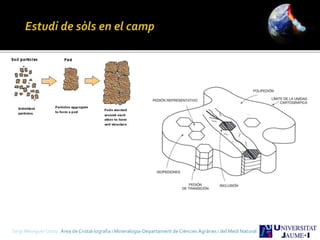 Sergi Meseguer Costa Àrea de Cristal·lografia i Mineralogia-Departament de Ciències Agràries i del Medi Natural
 