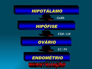 HIPOTÁLAMO HIPÓFISE OVÁRIO ENDOMÉTRIO GnRh FSH / LH E2 / P4 MENSTRUAÇÃO 
