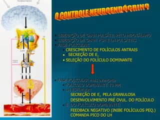 LIBERAÇÃO DE GnRH PULSÁTIL PELO HIPOTÁLAMO LIBERAÇÃO DE GnRH: FSH E LH PULSÁTEIS FASE FOLICULAR:  CRESCIMENTO DE FOLÍCULOS ANTRAIS SECREÇÃO DE E 2 SELEÇÃO DO FOLÍCULO DOMINANTE FASE FOLICULAR mais avançada FOLÍCULO DOMINANTE 10 MM LH ESTIMULA: SECREÇÃO DE  E 2  PELA GRANULOSA DESENVOLVIMENTO PRÉ OVUL. DO FOLÍCULO E 2  DO FOLÍCULO DOMINANTE: FEEDBACK NEGATIVO (INIBE FOLÍCULOS PEQ.) COMANDA PICO DO LH O CONTROLE NEUROENDÓCRINO 