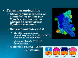 Estrutura molecular: Glicoproteínas: cadeias de aminoácidos unidas por ligações peptídicas com cadeias de carboidratos ligados a proteínas. Duas sub-unidades    e   :  : idêntica as outras gonadotrofinas (LH, TSH e hCG) contém 92 aminoácidos.  : específica do FSH, 118 aminoácidos. Meia vida FSH: 3 – 4 horas. LH: 20 min. 