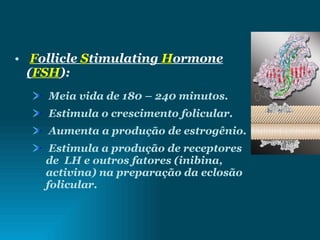 F ollicle  S timulating  H ormone ( FSH ): Meia vida de 180 – 240 minutos. Estimula o crescimento folicular. Aumenta a produção de estrogênio. Estimula a produção de receptores de  LH e outros fatores (inibina, activina) na preparação da eclosão folicular. 