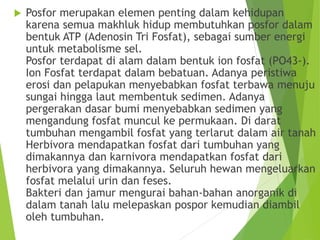 4 ekosistem | PPT
