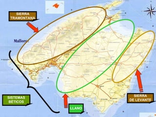 SIERRA TRAMONTANA LLANO SIERRA DE LEVANTE SISTEMAS BÉTICOS 