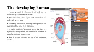 4-EMBRYOLOGICAL_DEVELOPMENT_OF_BODY_TISSUES,_ORGANS_AND_SYSTEMS.[1].pptx