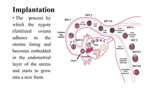 4-EMBRYOLOGICAL_DEVELOPMENT_OF_BODY_TISSUES,_ORGANS_AND_SYSTEMS.[1].pptx