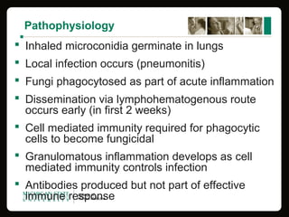 Pathophysiology
 Inhaled microconidia germinate in lungs
 Local infection occurs (pneumonitis)
 Fungi phagocytosed as part of acute inflammation
 Dissemination via lymphohematogenous route 
occurs early (in first 2 weeks)
 Cell mediated immunity required for phagocytic 
cells to become fungicidal
 Granulomatous inflammation develops as cell 
mediated immunity controls infection
 Antibodies produced but not part of effective 
immune response
 