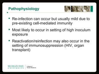 Pathophysiology
 Re-infection can occur but usually mild due to 
pre-existing cell-mediated immunity
 Most likely to occur in setting of high inoculum 
exposure
 Reactivation/reinfection may also occur in the 
setting of immunosuppression (HIV, organ 
transplant)
 