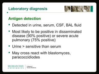 Laboratory diagnosis
Antigen detection
 Detected in urine, serum, CSF, BAL fluid
 Most likely to be positive in disseminated
disease (90% positive) or severe acute
pulmonary (75% positive)
 Urine > sensitive than serum
 May cross react with blastomyces,
paracoccidiodes
 