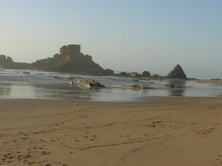 Overview of Histoplasmosis