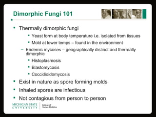 Dimorphic Fungi 101
 Thermally dimorphic fungi
 Yeast form at body temperature i.e. isolated from tissues
 Mold at lower temps – found in the environment
– Endemic mycoses – geographically distinct and thermally
dimorphic
 Histoplasmosis
 Blastomycosis
 Coccidioidomycosis
 Exist in nature as spore forming molds
 Inhaled spores are infectious
 Not contagious from person to person
 